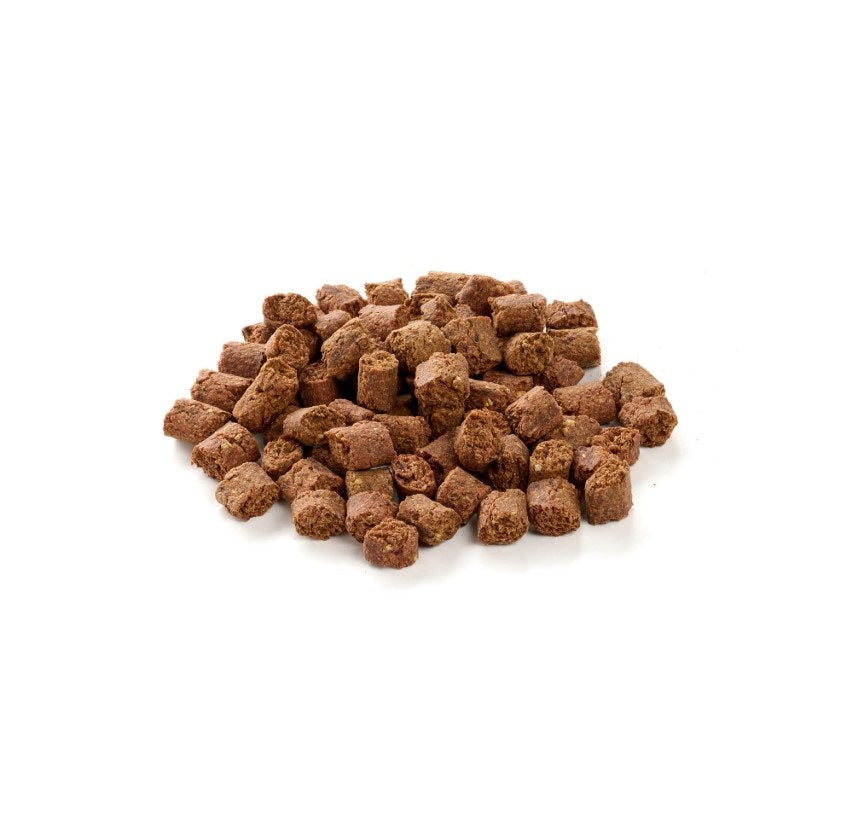 Insekten Snack