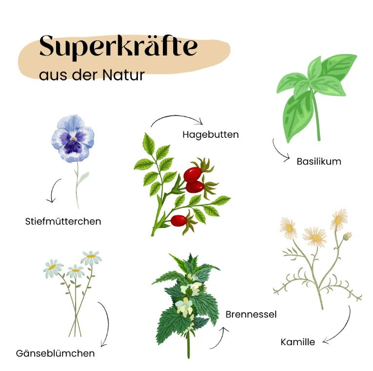 Wild&Seed Supplements Kräuter No.2 FellSchein