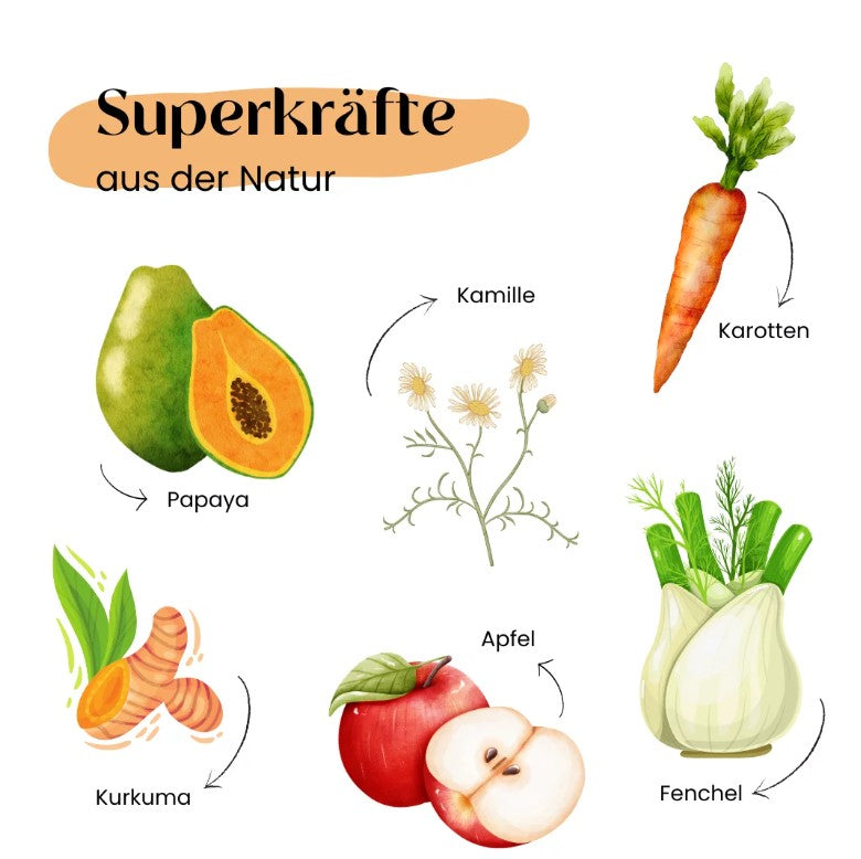 Wild&Seed Supplements Kräuter No.5 BauchWohl