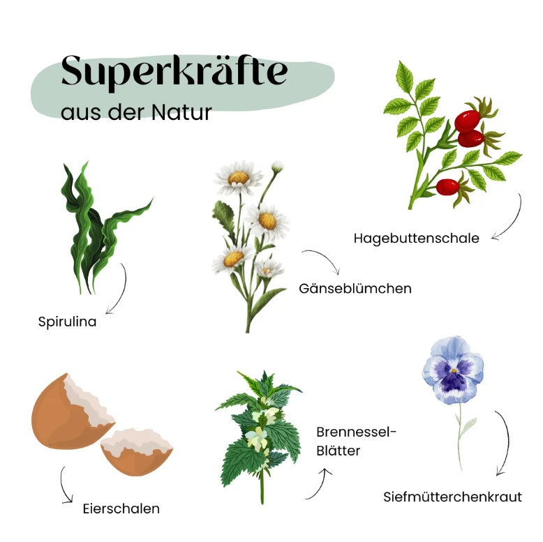 Wild&Seed Supplements Kräuter No.6 KnochenStark