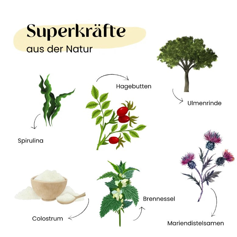 Wild&Seed Supplements Kräuter No.7 AbwehrKraft
