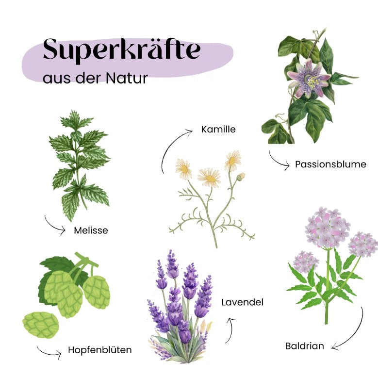 Wild&Seed Supplements Kräuter No.8 RuhePol
